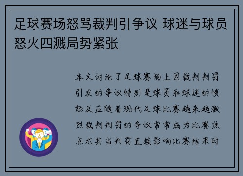 足球赛场怒骂裁判引争议 球迷与球员怒火四溅局势紧张