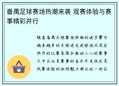 番禺足球赛场热潮来袭 观赛体验与赛事精彩并行